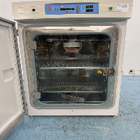 Thermo Forma Steri-Cycle CO2 Incubator image 3